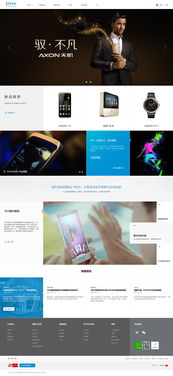 中興zte 天機(jī)手機(jī)發(fā)布頁(yè)網(wǎng)站設(shè)計(jì)案例 clh深圳高端網(wǎng)站建設(shè)