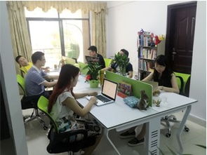 網(wǎng)站建設(shè)宣傳畫冊logo設(shè)計(jì)網(wǎng)頁設(shè)計(jì)平面設(shè)計(jì)