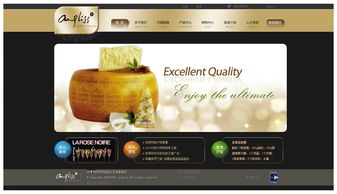 熱烈祝賀安得利網站設計官網成功上線運營